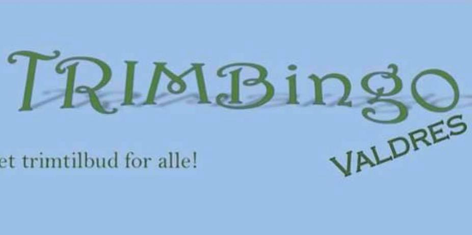 Bilde/illustrasjon for Trimbingo